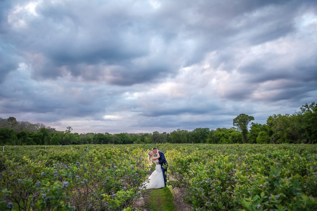 A couple in a field after using the daytona beach wedding planning company Juniper Blue